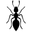 ANT-SHACK Icon