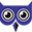 Sovahost Icon