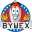 BYWEX Icon