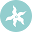 Oceanista Icon