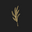 OLANI Icon