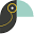 Toucan Toco Icon