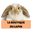 La Boutique Du Lapin Icon