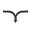 Larusmiani Icon