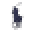Ralph Lauren Icon