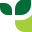 Vivus Icon