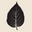 HabitSkinRituals Icon