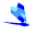Blue Dragon Fly Icon