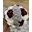 Bouquetsbynicole Icon