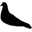 Turtledove London Icon