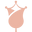 ROSAII Online Icon