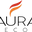 Aura Decor Icon