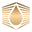 Vitta Gold Icon
