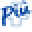 Più Medical Icon