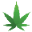 Passion Cannabis Icon