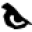 BadBoy.com Icon