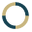Psolace Icon