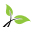 The Wellness Living Store Icon