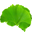 Brain Tea Icon