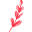 Piment d’Ville Icon