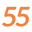 SPORT 55 Icon