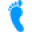 Custom Feet Insoles Icon
