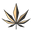 Taste of Cannabis Icon