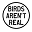 Birds Aren't Real Icon