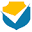 Server Checkers Icon