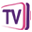 LeezTV Icon