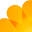 Country Life Vitamins Icon