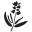 Fleur Marché Icon