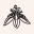 Kiara Naturals Icon