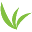 Go Buddha Meals Icon