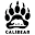 Calibear Icon
