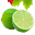Neeranatural.com Icon