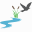 Blackbird Creek Farms Icon