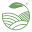 The Tea Shelf Icon
