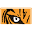 QuickSurvive Icon