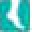 FootSmart Icon