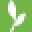 Live Good Icon