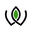 Zenwise Health Icon