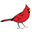 Cardinal Camera Icon