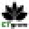 CTgrow Icon