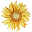 Smudeoil Icon