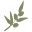 Simply Organic Beauty Icon