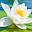 Inner Truth Massage Icon
