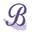 Blackberry Designs Jewelry Icon