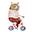The Curious Bear Toy & Book Shop Icon