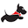 DinkyDogClub Icon